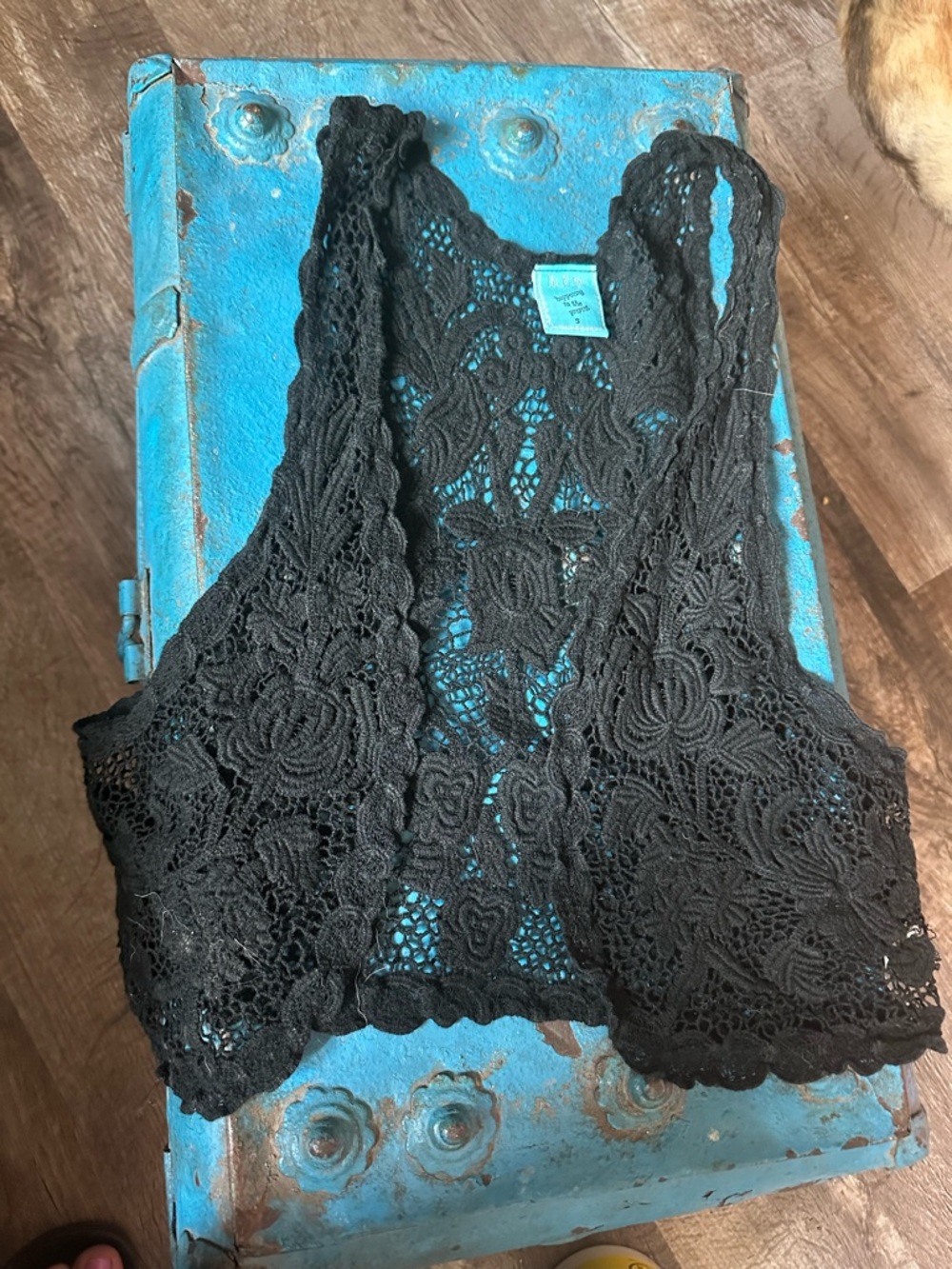 h.i.p. Black Lace Cropped Bandeau Bralette